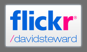 davidsteward on flickr